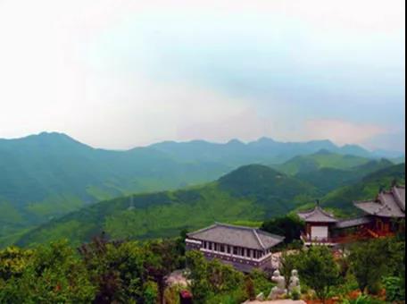 攸縣興林油茶,油茶苗,油茶果,輕基質杯苗,裸根苗,油茶苗價格,油茶苗批發,油茶苗基地