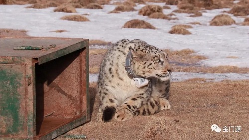 湖南環球信士科技有限公司,湖南野生動物追蹤,湖南衛星追蹤器,湖南追蹤器