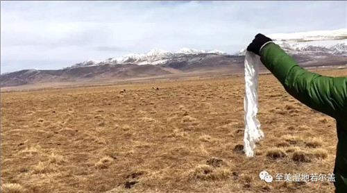 湖南環球信士科技有限公司,湖南野生動物追蹤,湖南衛星追蹤器,湖南追蹤器