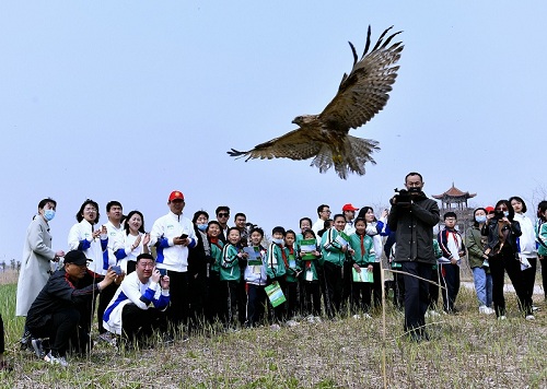 湖南環(huán)球信士科技有限公司,湖南野生動物追蹤,湖南衛(wèi)星追蹤器,湖南追蹤器