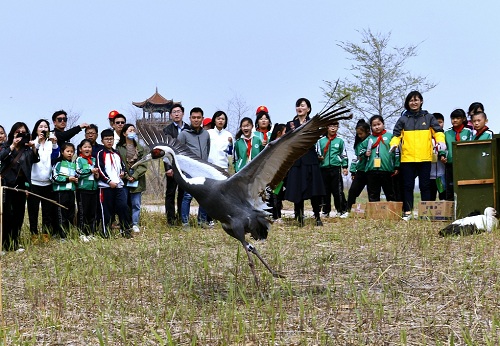 湖南環(huán)球信士科技有限公司,湖南野生動物追蹤,湖南衛(wèi)星追蹤器,湖南追蹤器