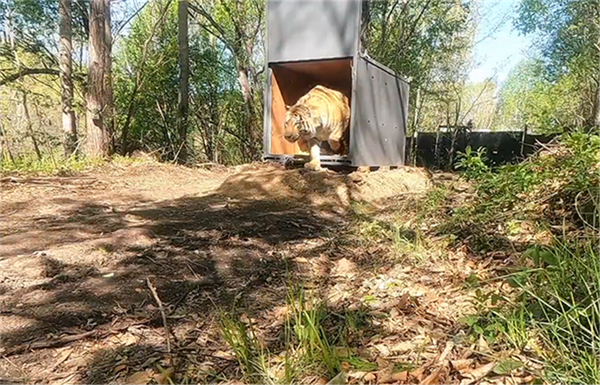 湖南環球信士科技有限公司,湖南野生動物追蹤,湖南衛星追蹤器,湖南追蹤器