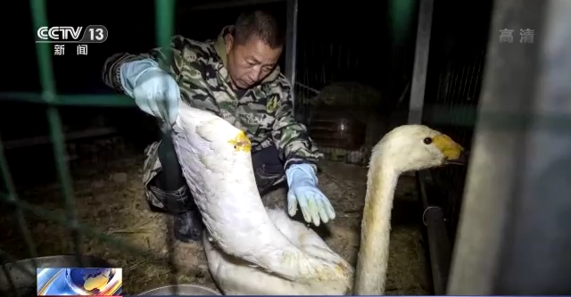 湖南環球信士科技有限公司,湖南野生動物追蹤,湖南衛星追蹤器,湖南追蹤器