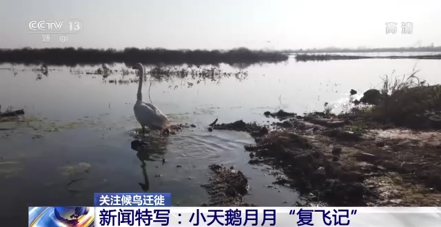 湖南環球信士科技有限公司,湖南野生動物追蹤,湖南衛星追蹤器,湖南追蹤器