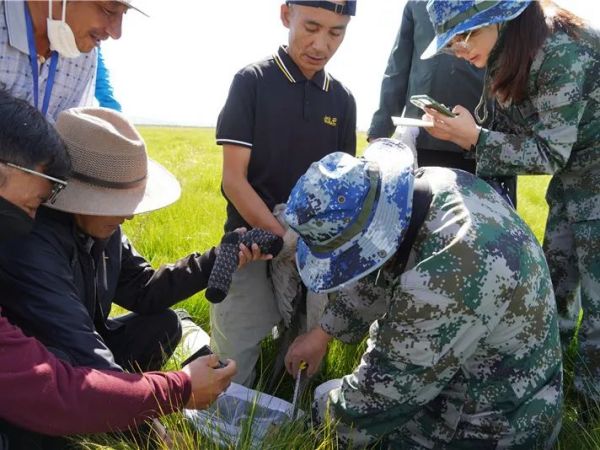 湖南環球信士科技有限公司,湖南野生動物追蹤,湖南衛星追蹤器,湖南追蹤器