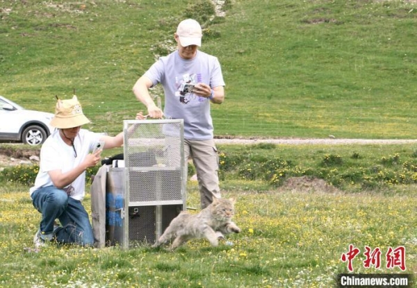 湖南環球信士科技有限公司,湖南野生動物追蹤,湖南衛星追蹤器,湖南追蹤器