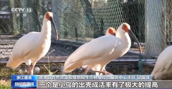 湖南環球信士科技有限公司,湖南野生動物追蹤,湖南衛星追蹤器,湖南追蹤器