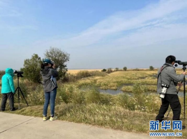 湖南環球信士科技有限公司,湖南野生動物追蹤,湖南衛星追蹤器,湖南追蹤器